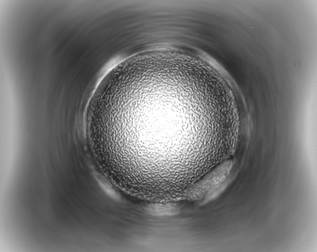 X0000085780858200703161205