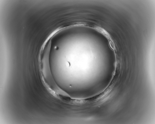 X0000085780859200703161205