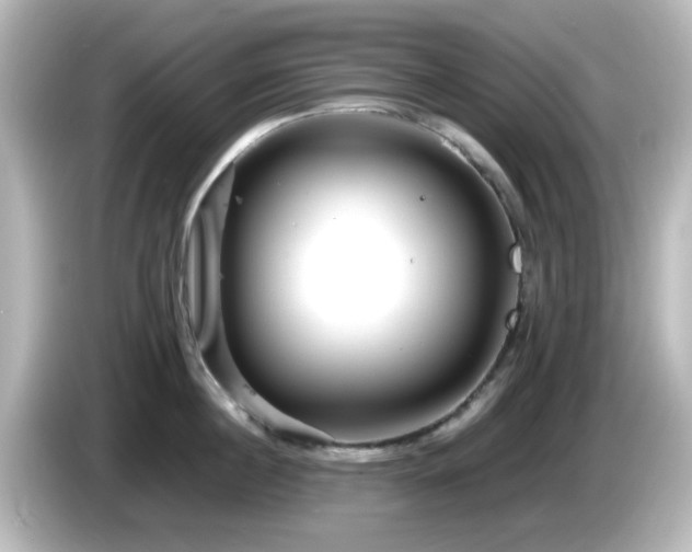 X0000085780860200703161205