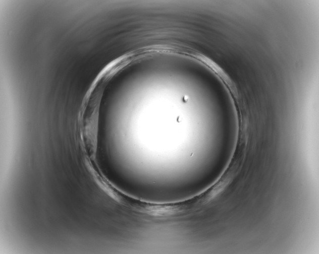 X0000085780862200703161205