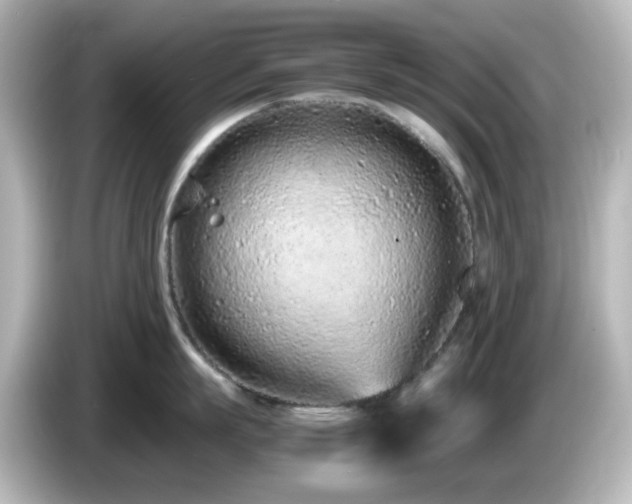 X0000085780863200703161205