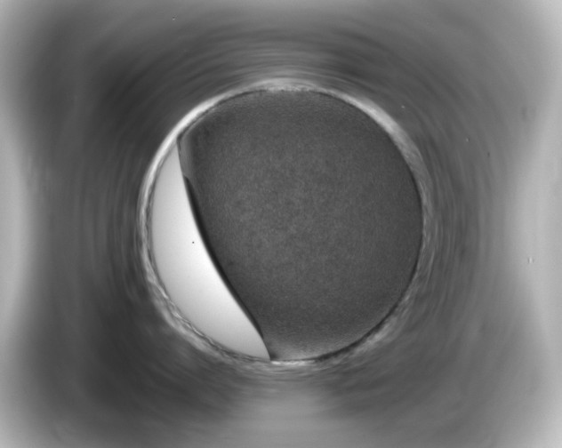 X0000085780864200703161205