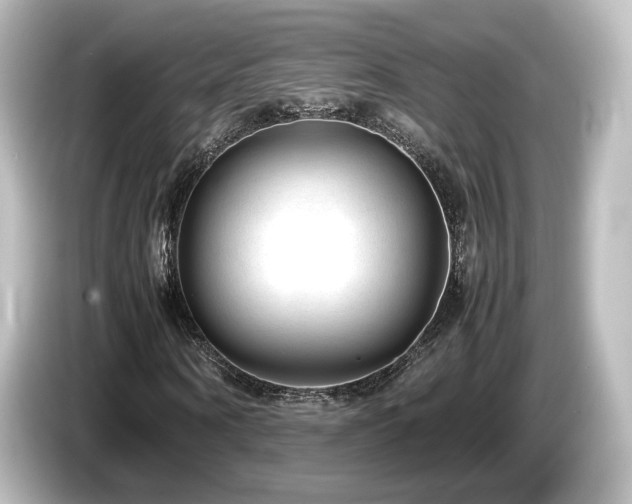 X0000085780866200703161204