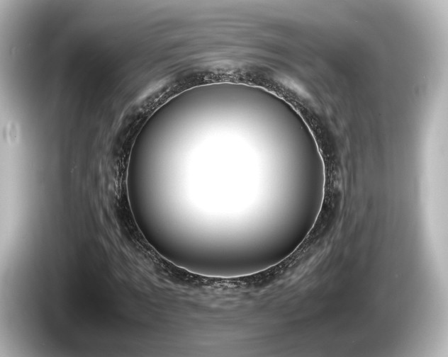 X0000085780869200703161204