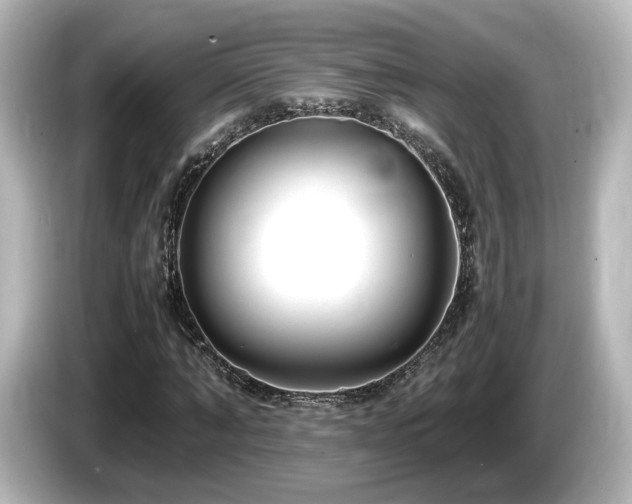 X0000085780870200703161204