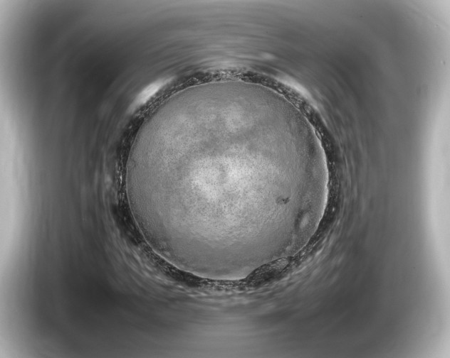 X0000085780871200703161204