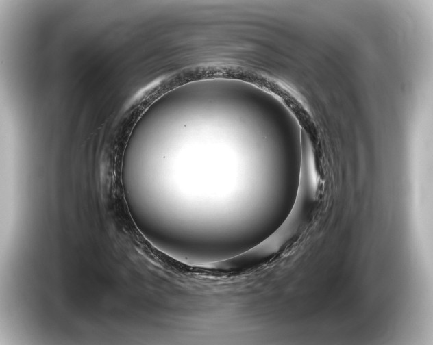 X0000085780872200703161204