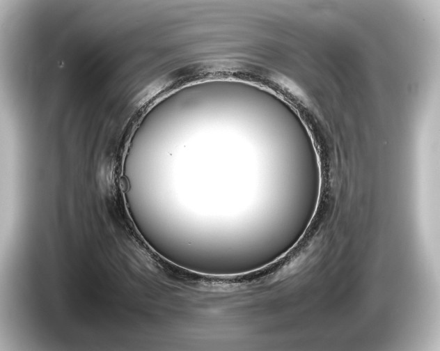 X0000085780873200703161204