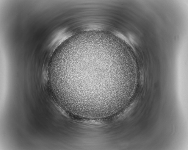 X0000085780874200703161204