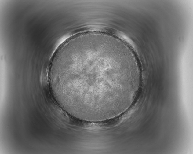 X0000085780875200703161204