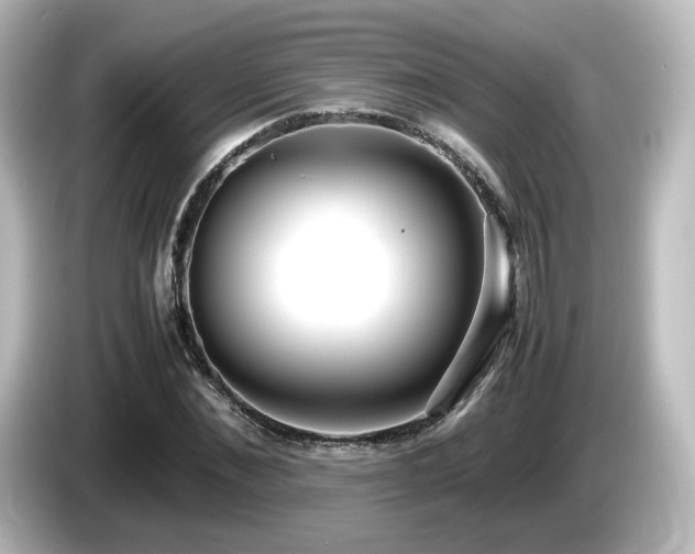 X0000085780876200703161204