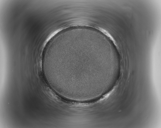 X0000085780877200703161204