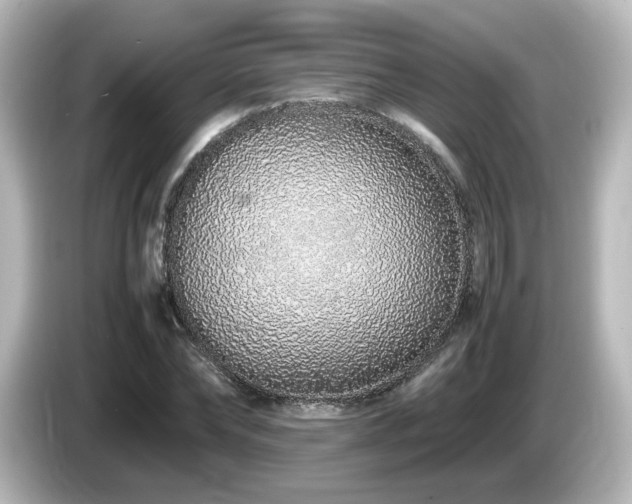 X0000085780878200703161204