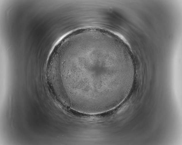 X0000085780879200703161204