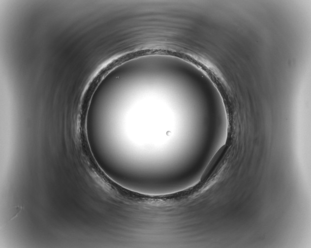 X0000085780880200703161204