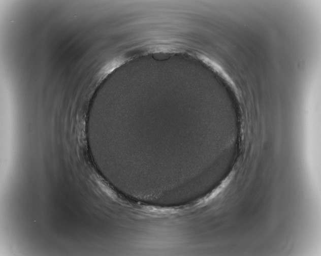 X0000085780881200703161204