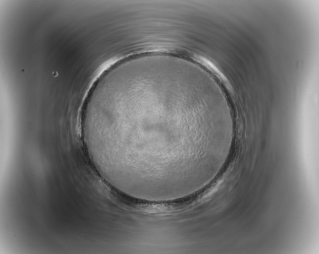 X0000085780883200703161204