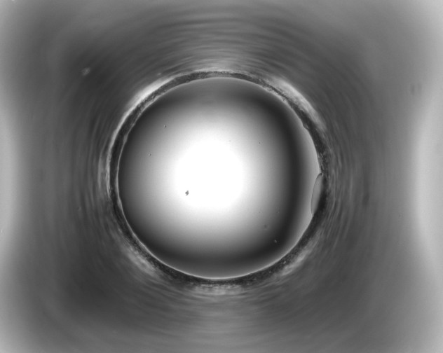 X0000085780884200703161203