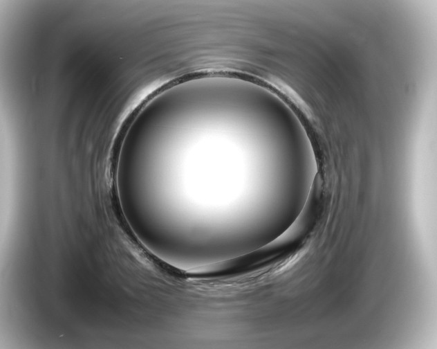 X0000085780885200703161203