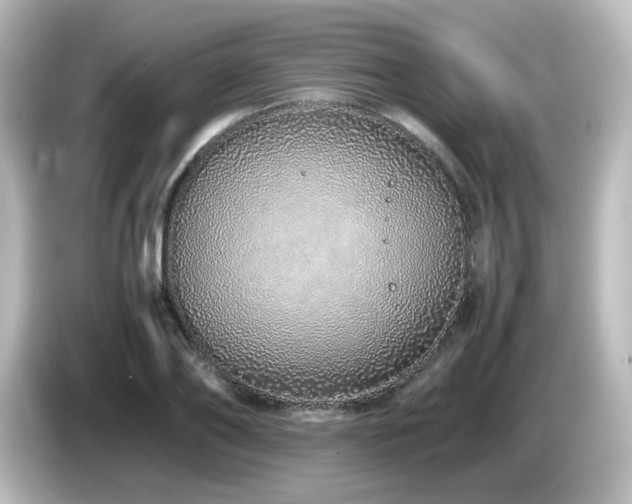 X0000085780886200703161203