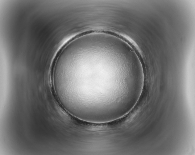 X0000085780887200703161203