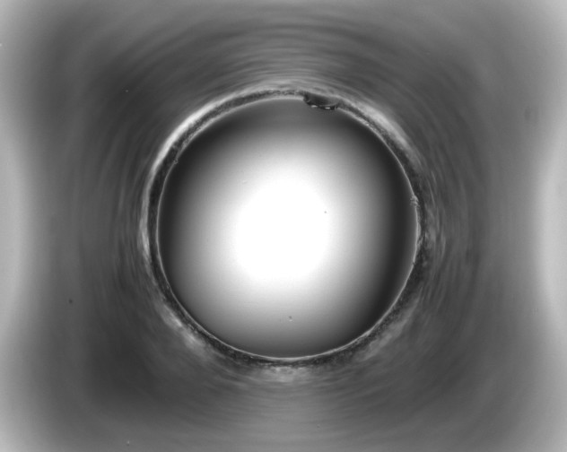 X0000085780888200703161203