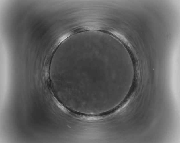 X0000085780889200703161203