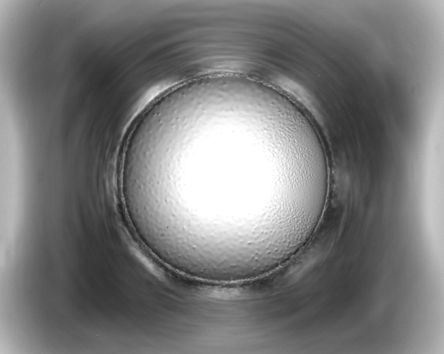 X0000085780890200703161203