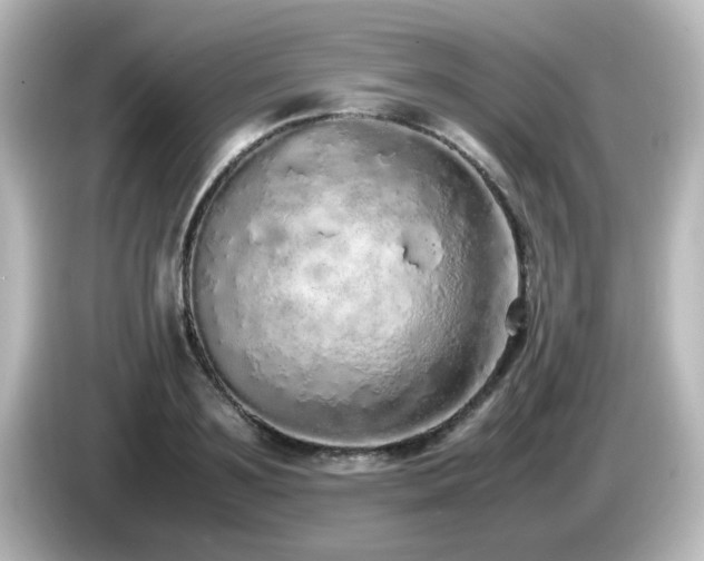 X0000085780891200703161203