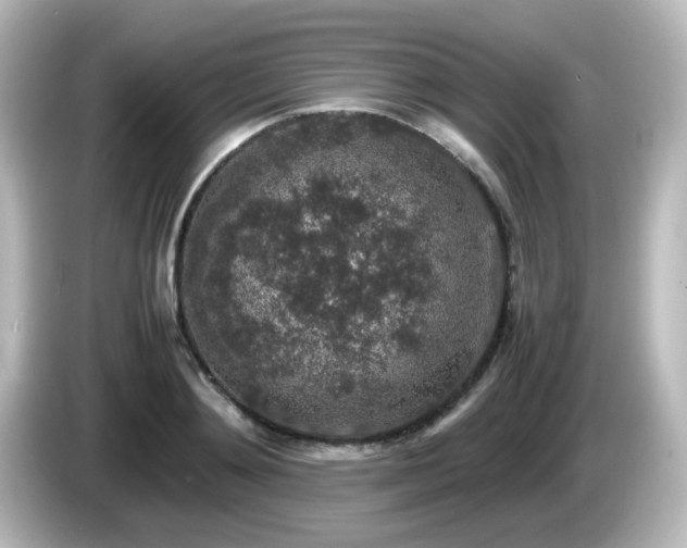 X0000085780892200703161203