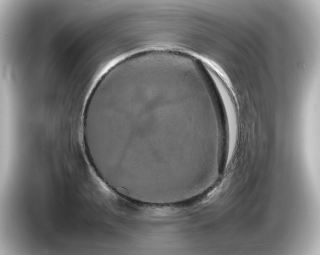 X0000085780895200703161203