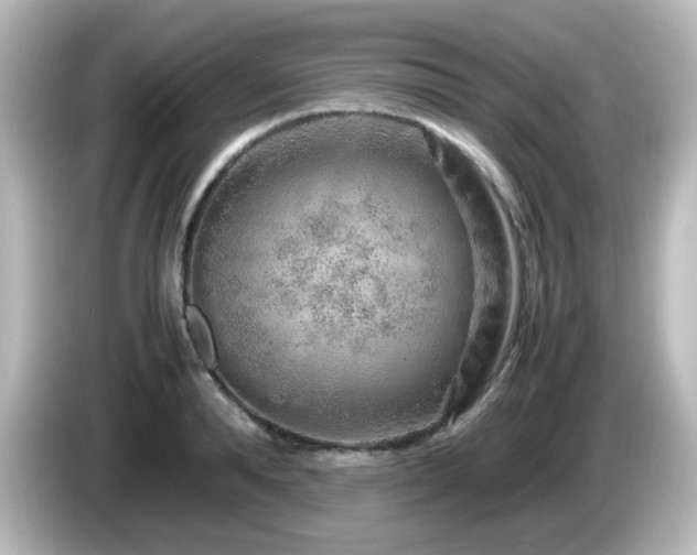 X0000085780896200703161203