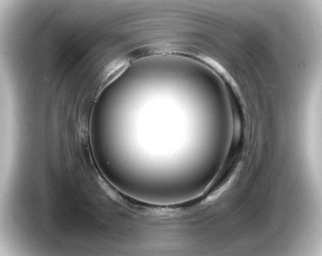 X0000085780897200703161203