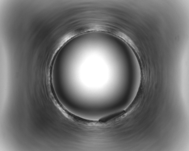 X0000085780898200703161203