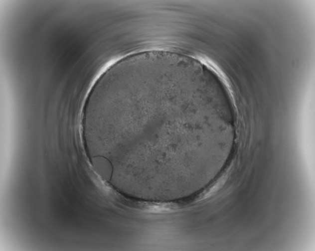 X0000085780899200703161203