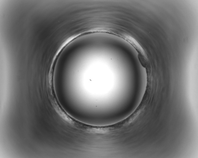 X0000085780900200703161203