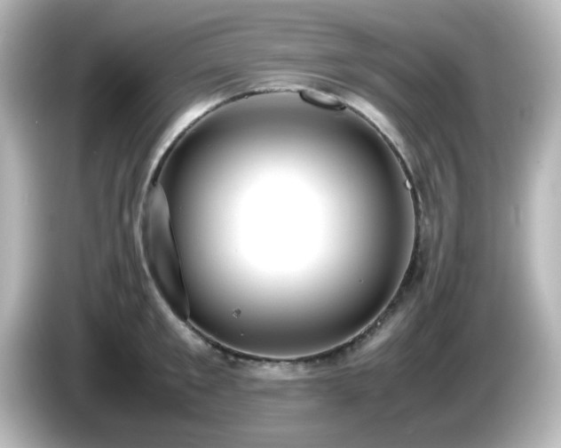 X0000085780901200703161203