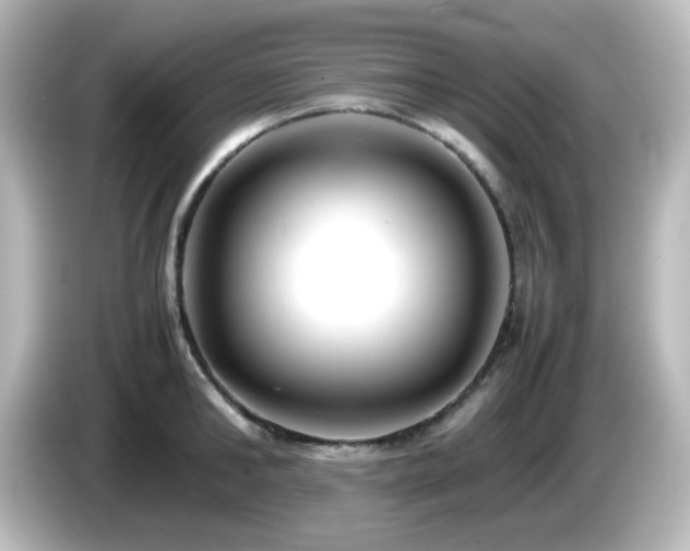 X0000085780902200703161203