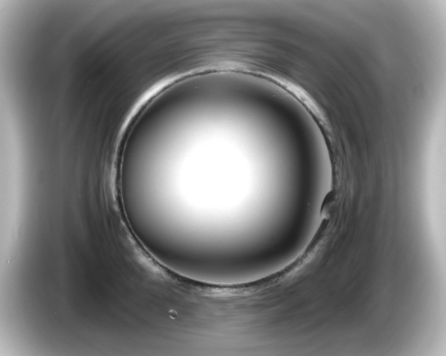 X0000085780904200703161203