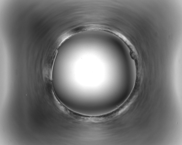 X0000085780905200703161203