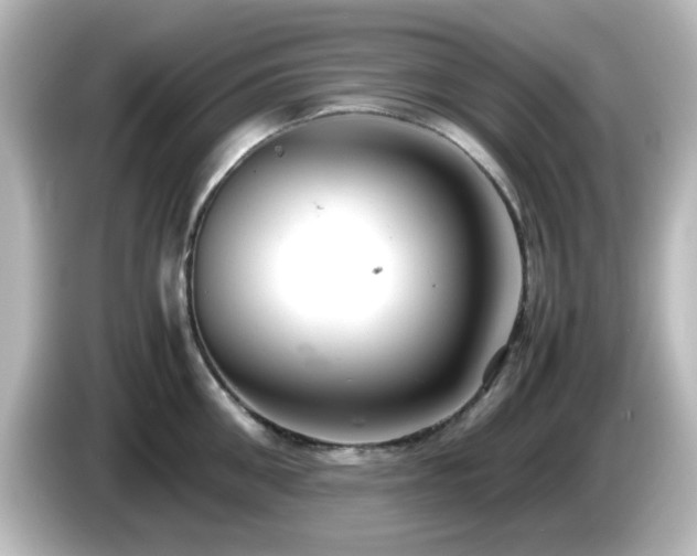 X0000085780906200703161203