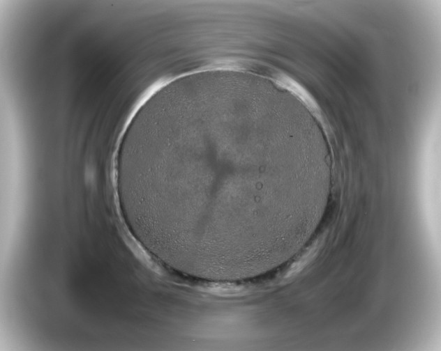 X0000085780907200703161203