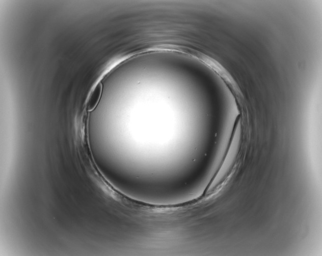 X0000085780908200703161203