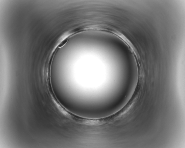 X0000085780909200703161203