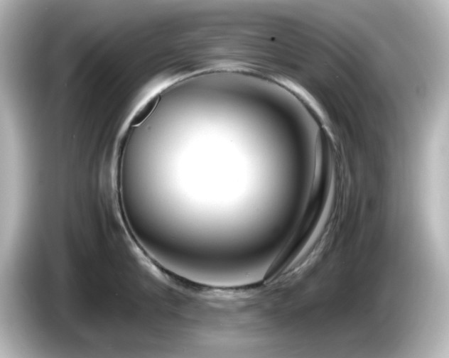 X0000085780910200703161203