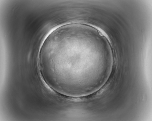 X0000085780911200703161203