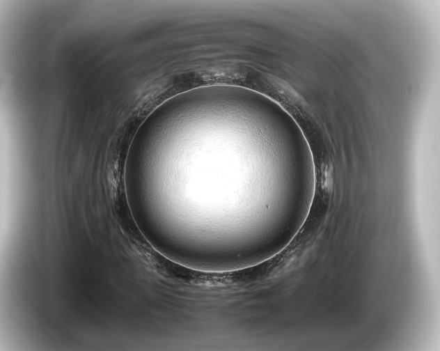 X0000085780915200703161202