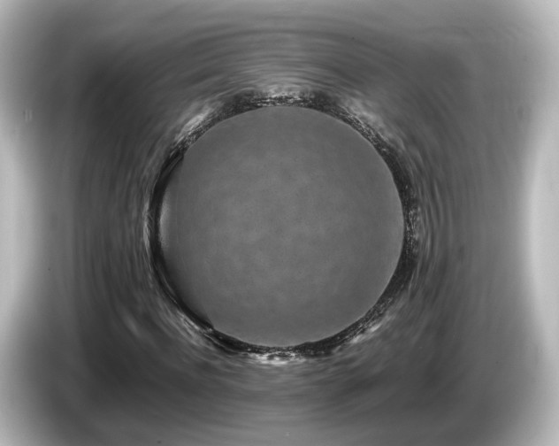 X0000085780916200703161202