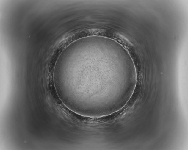 X0000085780917200703161202