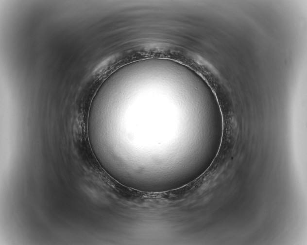 X0000085780918200703161202